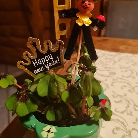 Casa de hóspedes Und Gaststaette Zur Knappenschaenke 3*