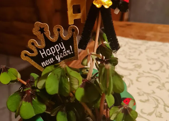 Pensionat Und Gaststaette Zur Knappenschaenke 3*